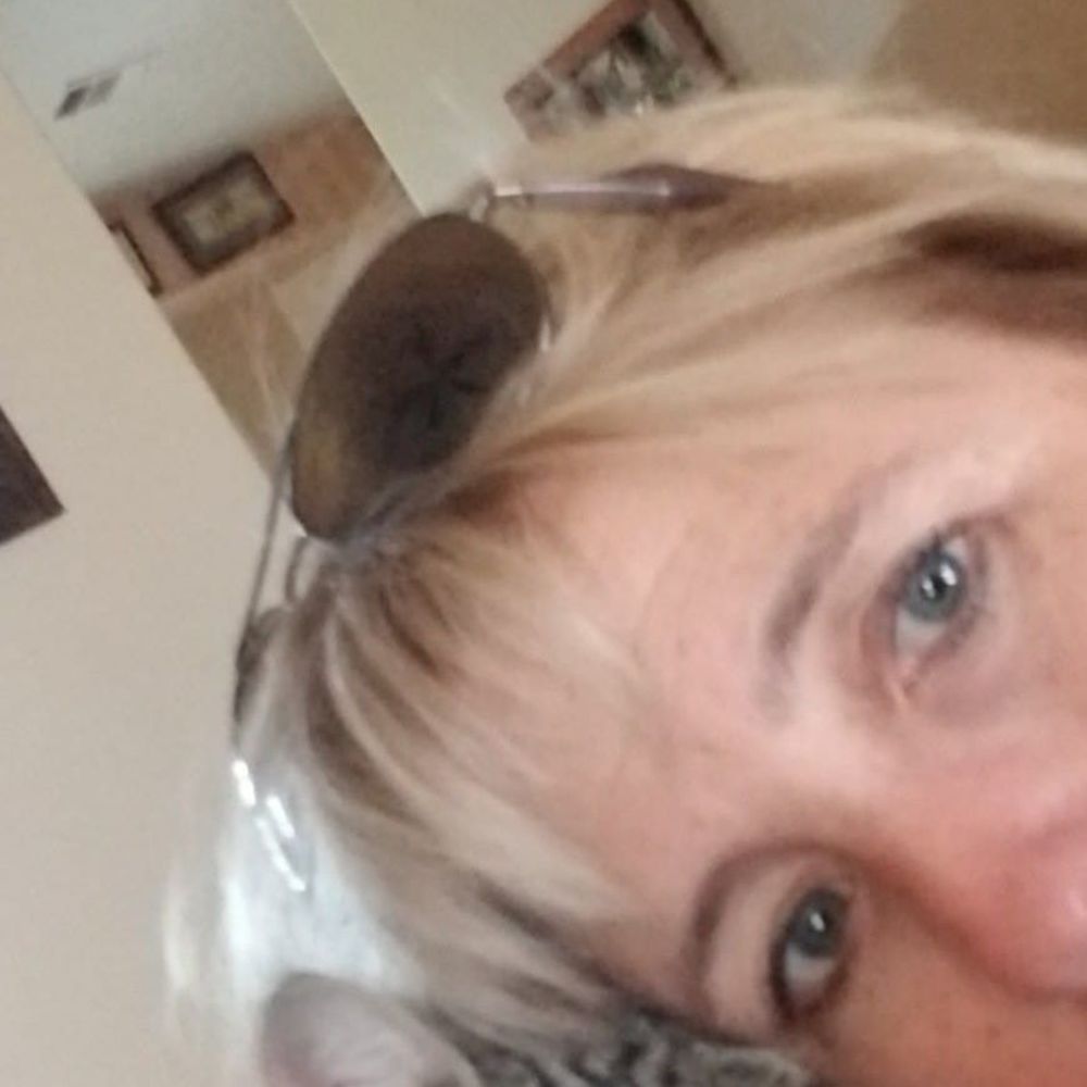 Meet your Posher, Kimberly